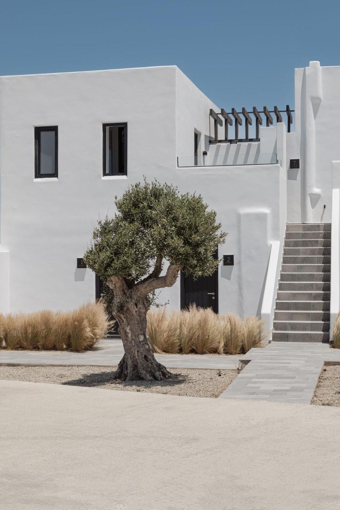 Laguna Suites In Mazera Mykonos Mykonos Town Luaran gambar